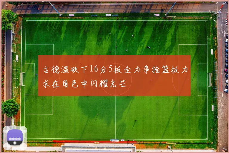 古德温砍下16分5板全力争抢篮板力求在角色中闪耀光芒